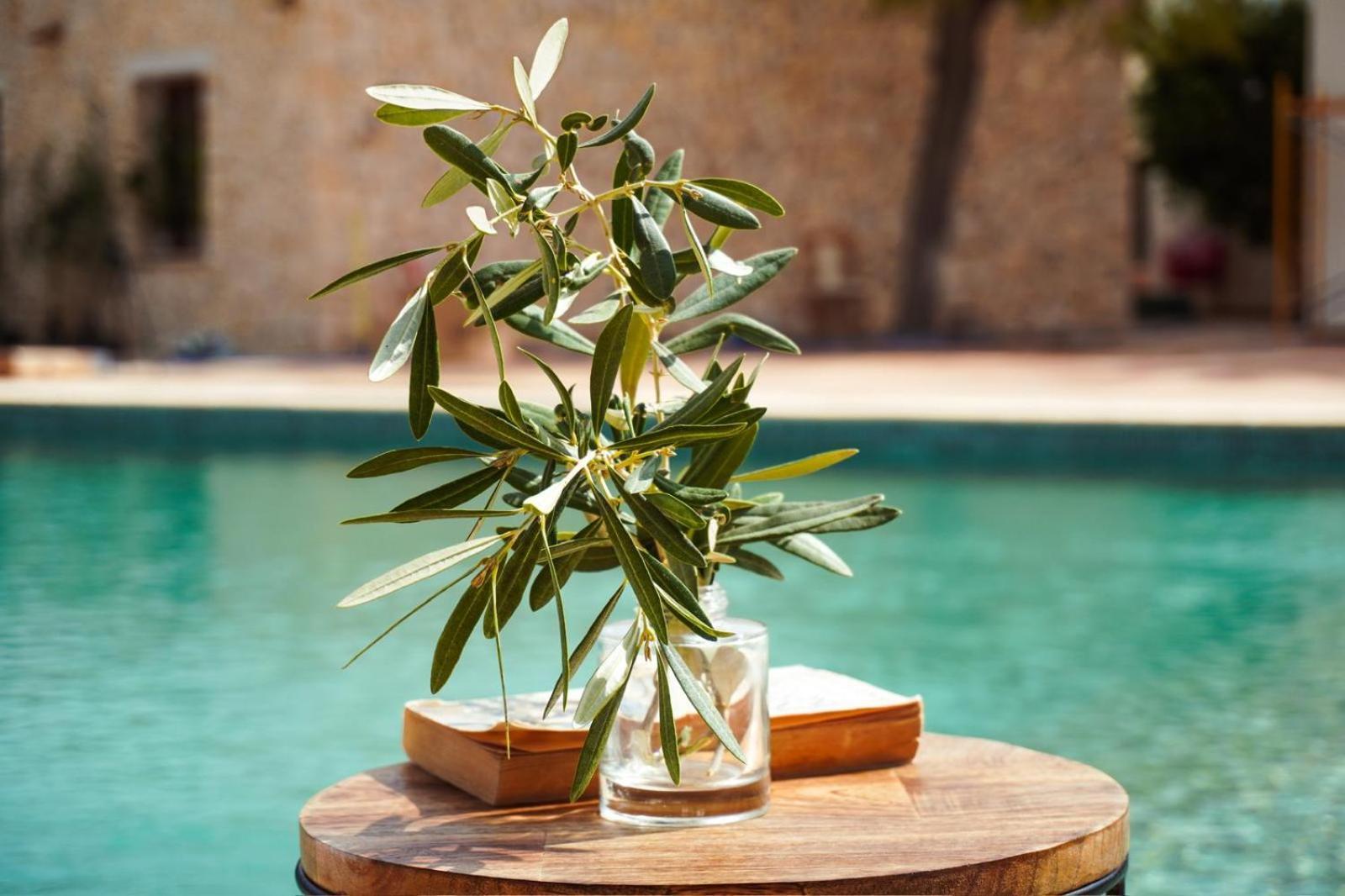 Hotel Finca Olivar Benissa Dış mekan fotoğraf