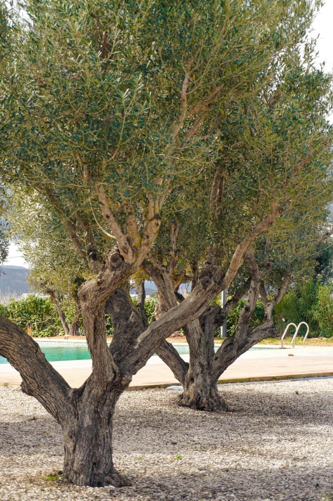 Hotel Finca Olivar Benissa Dış mekan fotoğraf