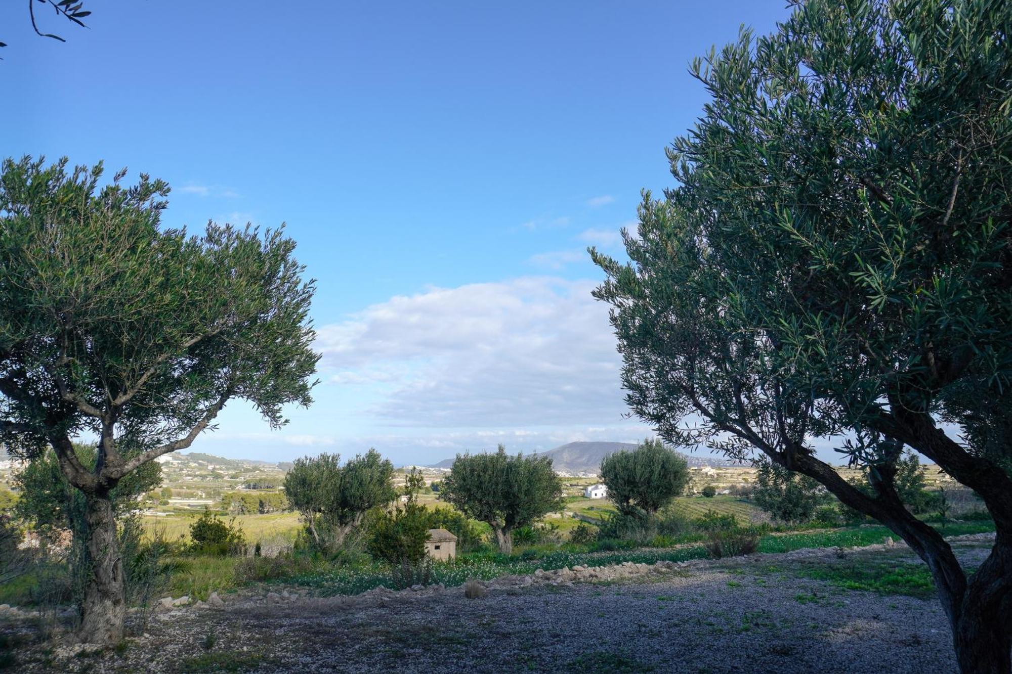 Hotel Finca Olivar Benissa Dış mekan fotoğraf