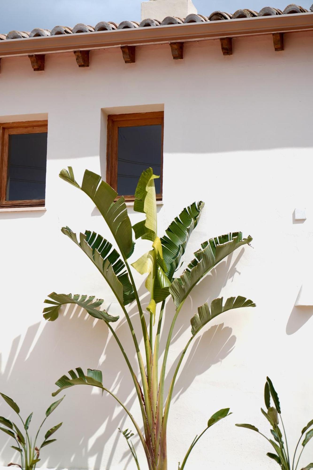 Hotel Finca Olivar Benissa Dış mekan fotoğraf
